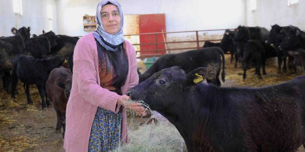 Devlet desteği hayvancılık kariyerini başlattı: 5 ayda sayılarını 2 kat artırdı 4